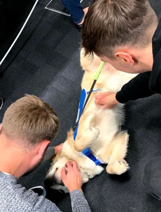 BILLY AND ROSS STROKING DOG