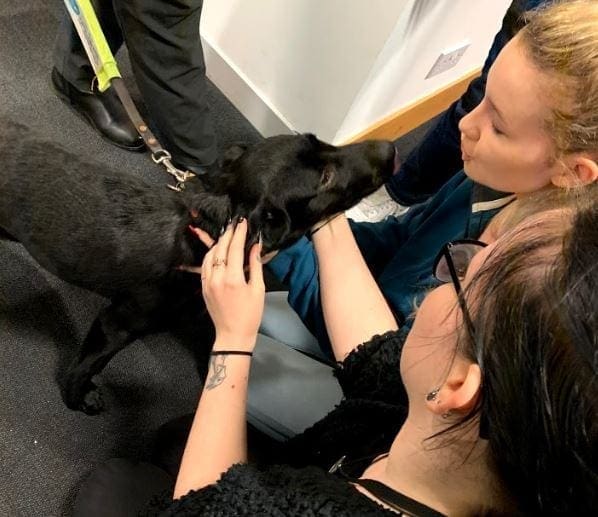 debbie georgia stroking dog