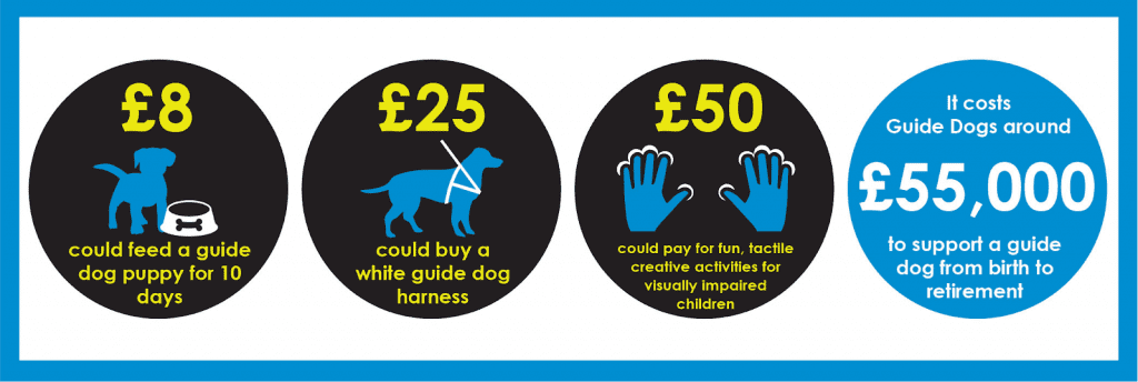 Infographics reading £8 could feed a guide dog puppy for 10 days, £25 could buy a white guide dog harness, £50 could pay for fun tactile creative activities for visually impaired children and it costs guide dogs around £55000 to support a guide dog from birth to retirement.